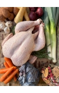 Free Range Dry Pluck Bronze Turkey